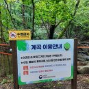 용대자연휴양림캠핑장 이미지