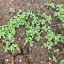 김찬형생활건강 이미지