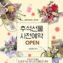 딤플스플라워