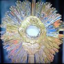 교황, 인류를 위한 특별기도문 (코로나19 종식을 위하여) 이미지