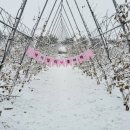 거성농원 이미지