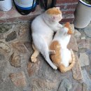 범촌매운탕식당 이미지