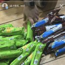 주원피드 이미지