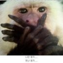 촌놈 이미지