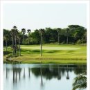 테디벨리 이미지