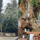 박혜정농장 이미지