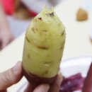 꿀밤유통 이미지