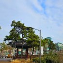 제1076회 신년 걷기 (남산순환길 북측) 장춘단공원~한옥마을 이미지