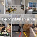 오감놀이터쪼물쪼물