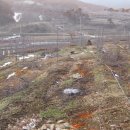 청마농장 이미지