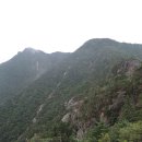 지리산 오리