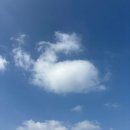 제주 올레길 4코스 | 제주 올레길 1-1코스 후기, 걸어서 우도 한바퀴