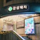 감삼돼지 이미지