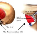 홍익치과의원 이미지