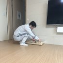 햄스터살롱