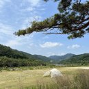 유곡마을 회관앞 이미지