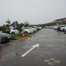 ㈜서울한방 | 제주 동쪽 수족관 전시 공연 모두 관람한 아쿠아플라넷 후기