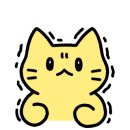 천안고양이 분양 퍼스트캣 본점 이미지