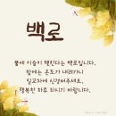 기쁜나무