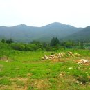 주원부동산중개 이미지