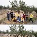 청통농장 이미지