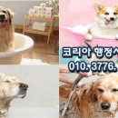 세정 행정사 사무소 이미지