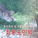 섬속의섬민박 이미지