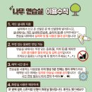맥 태권도장 | 광주 서구 금호동 연습실, &#39;나무연습실&#39; 이용 후기(위치, 주차, 이용요금, 크기)