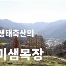 대강목장 이미지