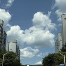 프레임스토어 | 썸앤데코 경기광주 쇼룸 플래그십 스토어 구경갔다가 프레임 구매하고온 후기