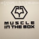 머슬 인 이미지