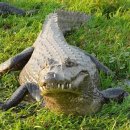 성재한의원 이미지