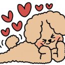 원주당구클럽 이미지