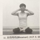 그;林