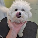 몽스파 연제점 이미지