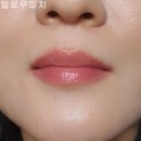 누그레이 듀이티 스테인 틴트 발색 후기 ( 멜로우피치, 베어코랄, 로즈슈, 카라멜로즈 )
