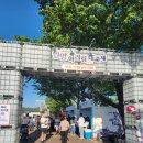 장터식당 | 🎉 2026 밀양아리랑대축제 후기｜아이와 함께 걷고 먹고 기웃거리다 시간 순삭⏰