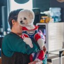 리버스토리1210 이미지