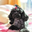 으니# 네이버블로그