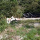 시곡3리 마을회관 이데일리