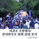 천지연폭포 한여름 밤의 영화 상영 후기 서귀포 야간행사 솔직 리뷰