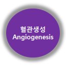 천안씨엠 이미지
