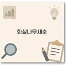 화살나무 새순 나물부터 효능 묘목 키우기까지 깔끔 정리