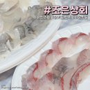 광안리 회포장 맛집 민락어민활어직판장 정직한곳 조은상회