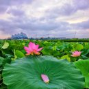 현치과기공소 이미지