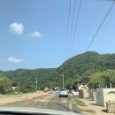 도그버디 이미지