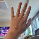 정다운내과의원 이미지