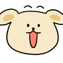 판교로156번길 이미지