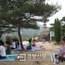 스테이나무 이미지