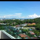 망고민박 이미지